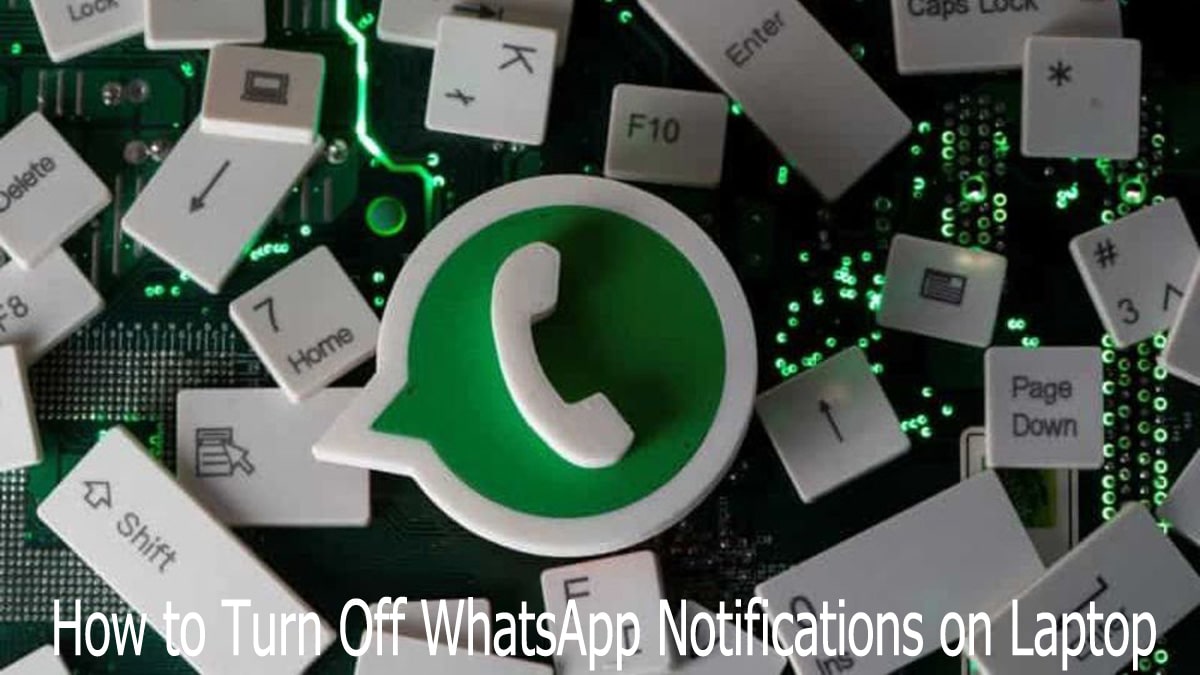 How to Turn Off WhatsApp Notifications on Laptop: A Complete Guide for WhatsApp Web, Desktop, and Operating System Settings
